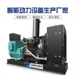 濰坊柴油發(fā)電機(jī)組